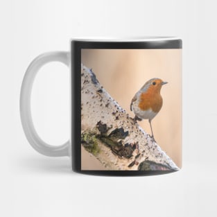 Robin on the silver perch Mug